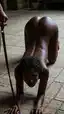 ebony bbw p*** - The Shape Edge Takes at Night - AI generated portrait image in 1080x1920 resolution by @anon